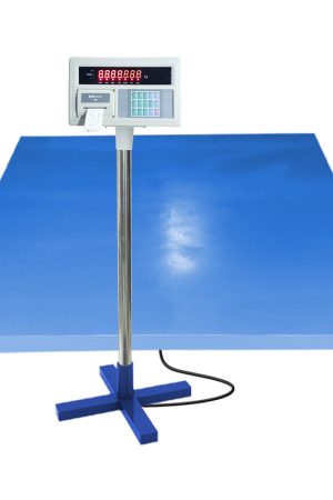 floor-scale-sonic-a9