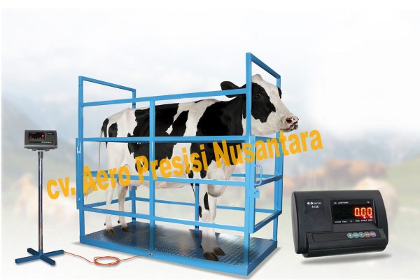 jual-timbangan-sapi-digital